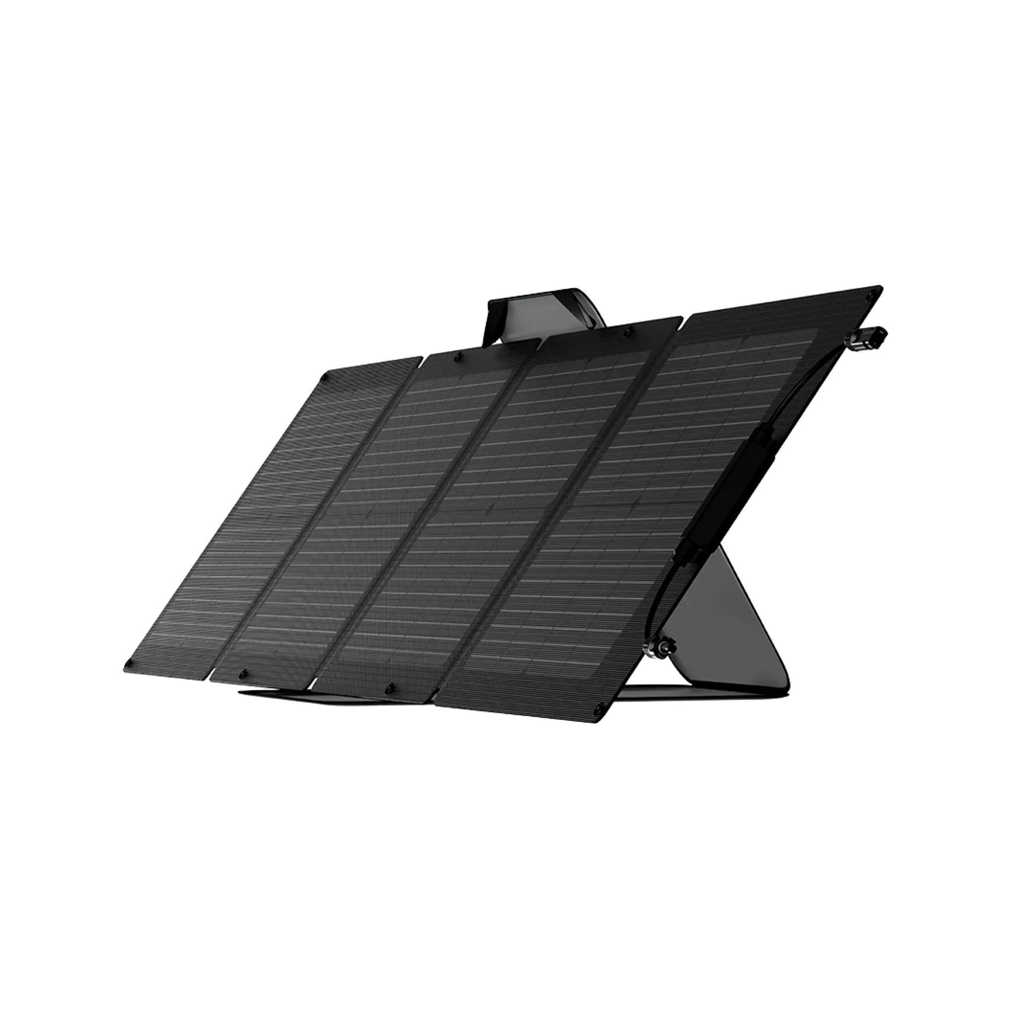 EcoFlow 100w Flexible Solar Panel