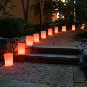 Electric Luminaria Kit